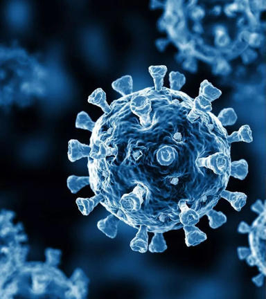 virus
