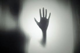 images (7)